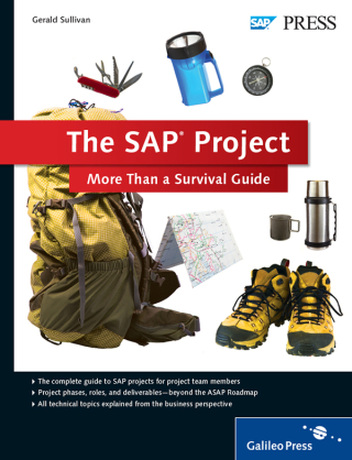 Imagen de portada: The SAP Project 1st edition 9781592299492