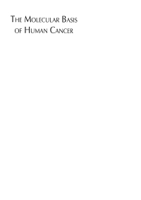Imagen de portada: The Molecular Basis of Human Cancer 1st edition 9780896036345