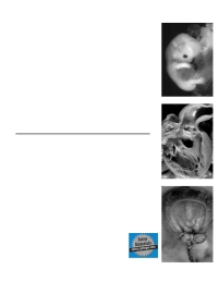Cover image: Handbook of Pediatric Autopsy Pathology 9781588292247