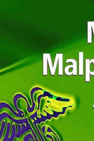 Imagen de portada: Medical Malpractice 1st edition 9781588293893