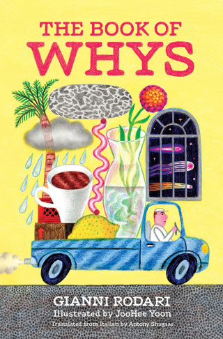 Cover image: The Book of Whys 9781592703647