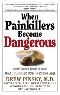 Cover image: When Painkillers Become Dangerous 9781592851072