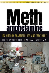 Cover image: Methamphetamine 9781592857173