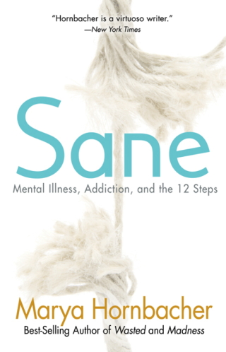 Cover image: Sane 9781592858248