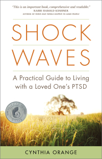 Cover image: Shock Waves 9781592858569