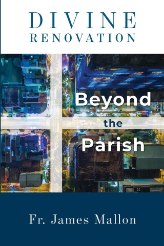 Immagine di copertina: Divine Renovation Beyond the Parish