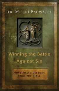 Cover image: Winning the Battle Against Sin: Hope-Filled Lessons from the Bible 9781593252250