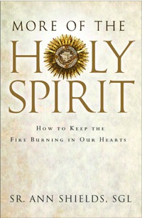 Omslagafbeelding: More of the Holy Spirit: How to Keep the Fire Burning in Our Hearts 9781593252298