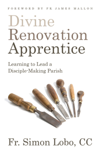 Cover image: Divine Renovation Apprentice