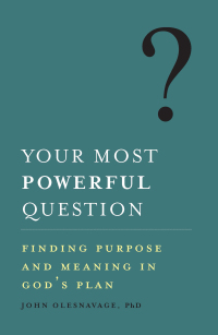 Imagen de portada: Your Most Powerful Question 9781593256043