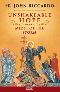 Immagine di copertina: Unshakeable Hope in the Midst of the Storm 9781593257156