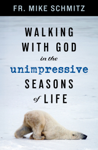 Imagen de portada: Walking with God in the Unimpressive Seasons of Life 9781593257224