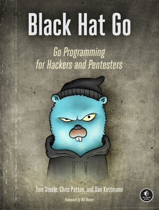 Cover image: Black Hat Go 9781593278656