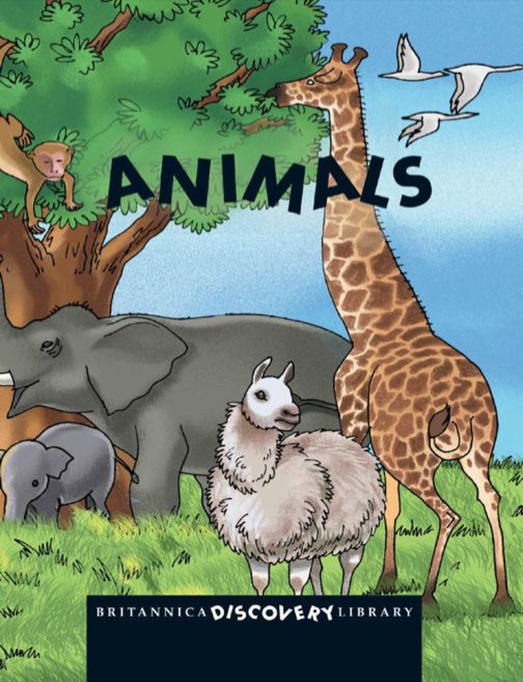 Animals 1st Edition