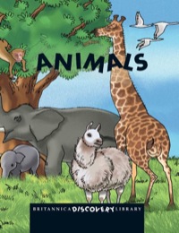 صورة الغلاف: Animals 1st edition