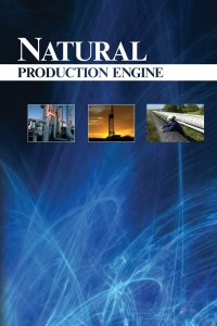 Cover image: Natural Gas Production Engineering 1st edition 9781593700171
