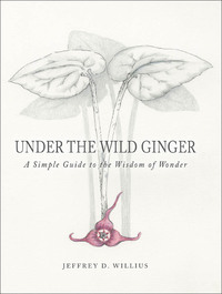 Imagen de portada: Under the Wild Ginger 1st edition