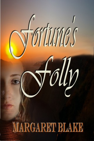 Cover image: Fortune's Folly 9781593744472