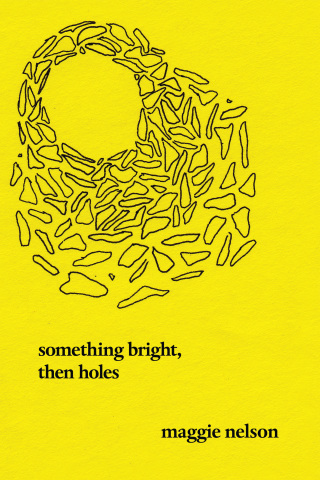 Cover image: Something Bright, Then Holes 9781593762308