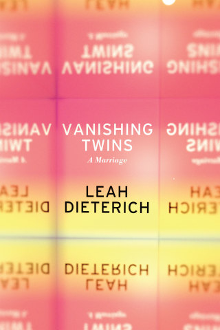 Cover image: Vanishing Twins 9781593762919