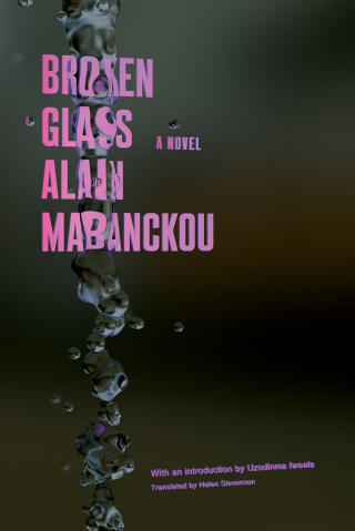 Cover image: Broken Glass 9781593763077