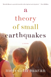Cover image: A Theory of Small Earthquakes 9781593764302
