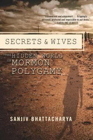 Cover image: Secrets and Wives 9781593765217