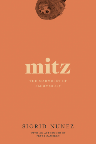 Cover image: Mitz 9781593765828