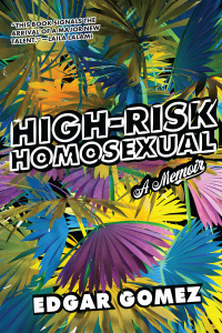 Cover image: High-Risk Homosexual 9781593767051