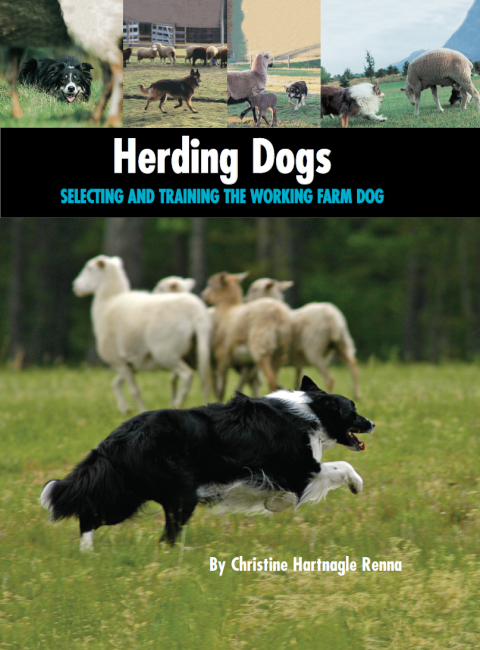 Herding Dogs: Selecting and Training the Working Farm Dog - FULL INSTANT DOWNLOAD | PDF DOCX EPUB
