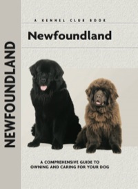 Immagine di copertina: Newfoundland 9781593782832