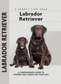 صورة الغلاف: Labrador Retriever 9781593782047