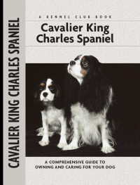 Immagine di copertina: Cavalier King Charles Spaniel 9781593782146