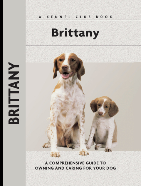 Brittany - FULL INSTANT DOWNLOAD | PDF DOCX EPUB