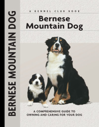 Omslagafbeelding: Bernese Mountain Dog 9781593782894