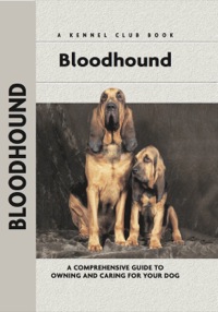 Omslagafbeelding: Bloodhound 9781593783235