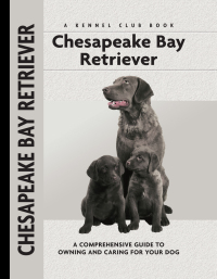 Cover image: Chesapeake Bay Retriever 9781593783389