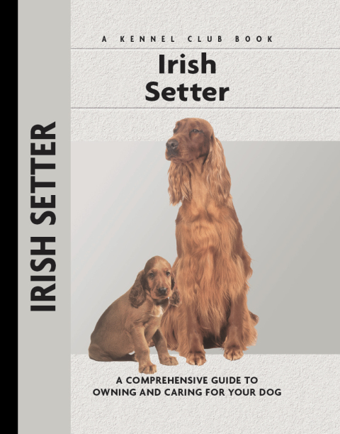 Irish Setter - FULL INSTANT DOWNLOAD | PDF DOCX EPUB