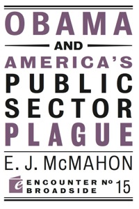 表紙画像: Obama and America's Public Sector Plague 9781594035371
