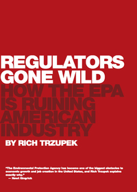 表紙画像: Regulators Gone Wild 9781594035265