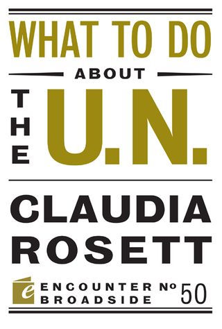 Imagen de portada: What to Do About the U.N. 9781594039720