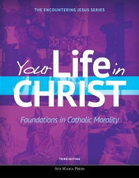 Titelbild: Your Life in Christ 3rd edition 9781594717369