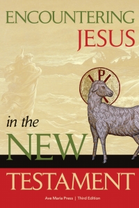 Cover image: Encountering Jesus in the New Testament 3rd edition 9781594719493