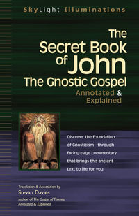Cover image: The Secret Book of John 1st edition 9781594730825