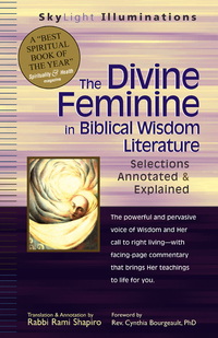 Cover image: The Divine Feminine in Biblical Wisdom Literature 1st edition 9781594731099