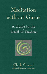 Imagen de portada: Meditation without Gurus 1st edition 9781683361923