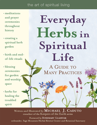 Cover image: Everyday Herbs in Spiritual Life 1st edition 9781594731747