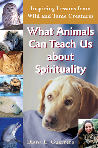 Omslagafbeelding: What Animals Can Teach Us About Spirituality 1st edition 9781893361843