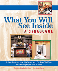 Imagen de portada: What You Will See Inside a Synagogue 1st edition 9781594732560