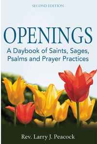 Cover image: Openings (2nd Edition) 2nd edition 9781594735455